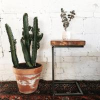 Rustic Minimal Coffee Table